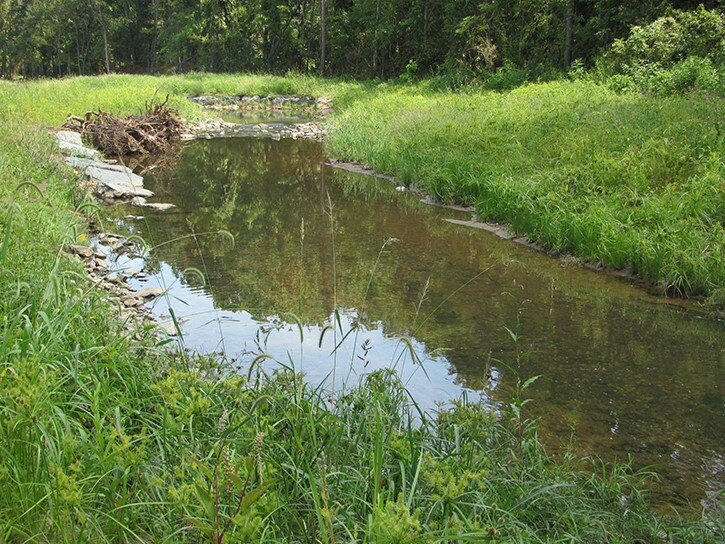 Meadow Creek Stream Restoration Landscape Performance Series